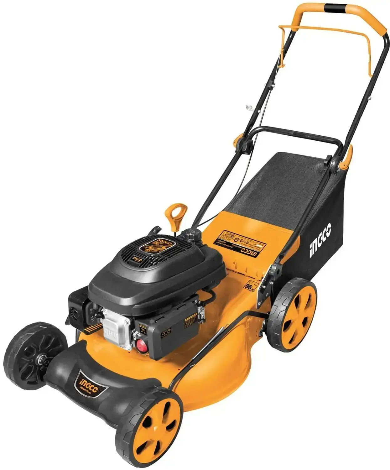 Miniatura 1
